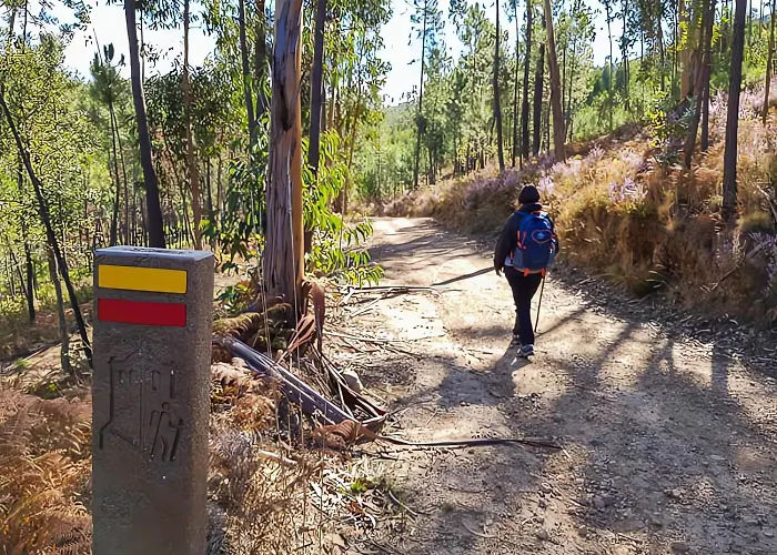 Casa Sol & Rio Lägenhet